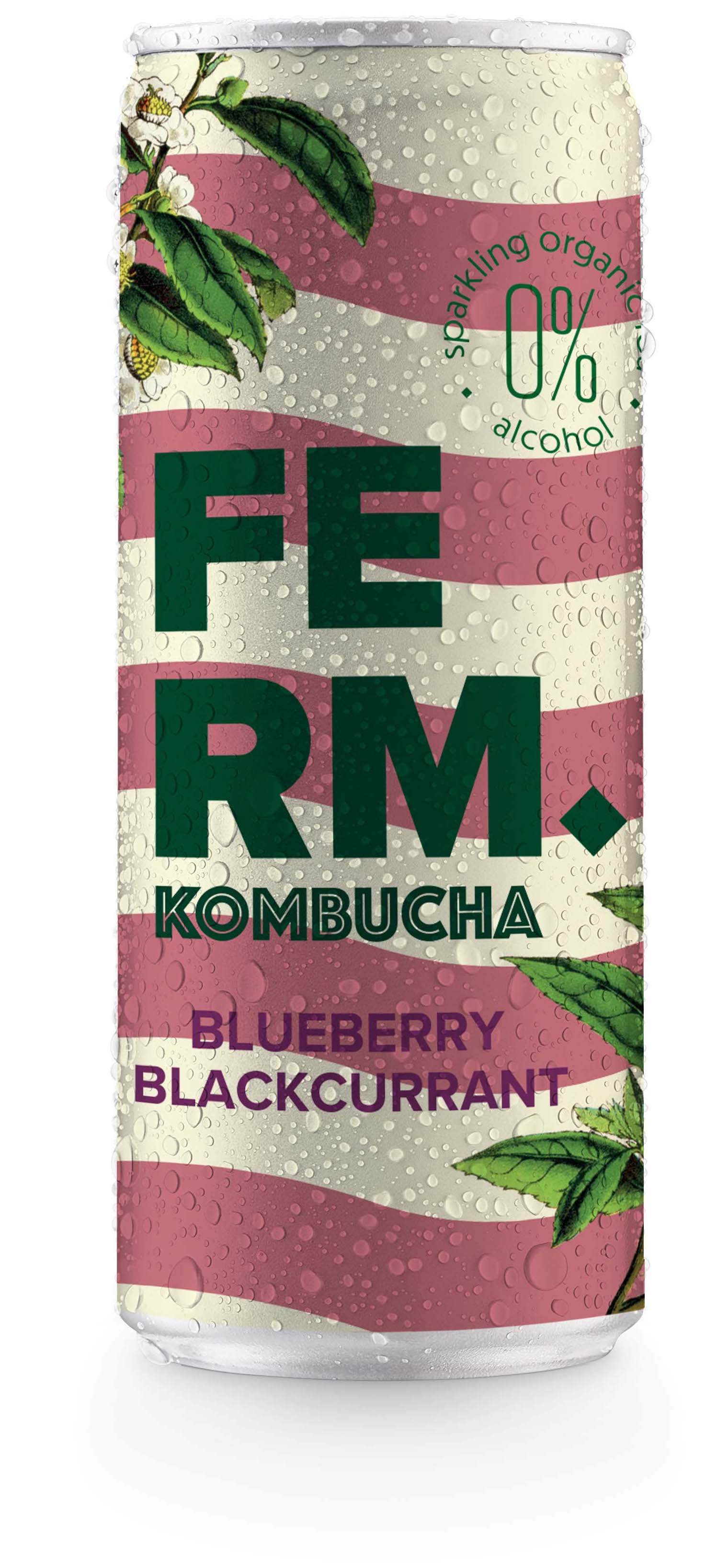 Blueberry Blackcurrant 12x